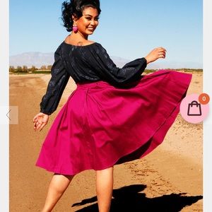 Pinup Girl Clothing Swing Skirt
